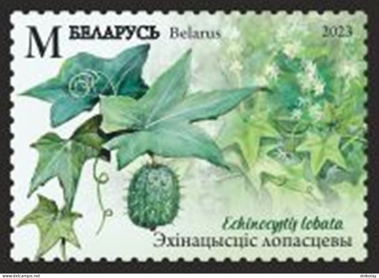 2023 1516 Belarus Invasive Species Of Flora And Fauna Of Belarus MNH - Belarus