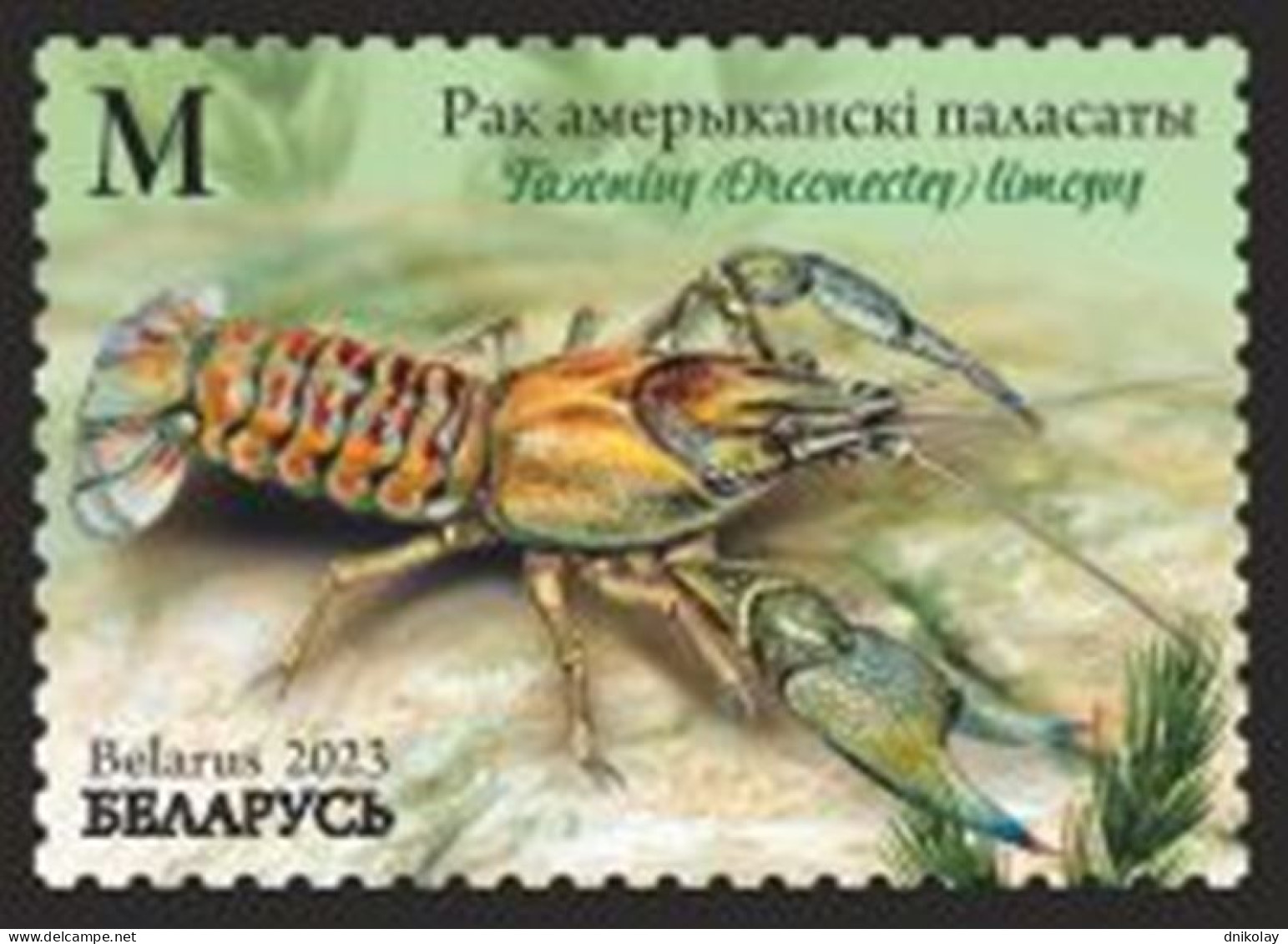 2023 1516 Belarus Invasive Species Of Flora And Fauna Of Belarus MNH - Belarus