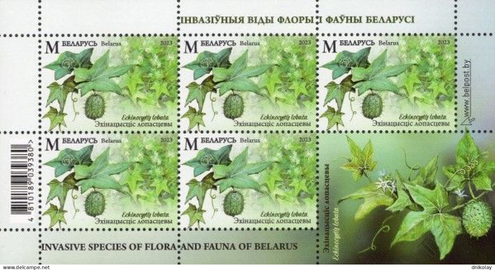 2023 1516 Belarus Invasive Species Of Flora And Fauna Of Belarus MNH - Belarus