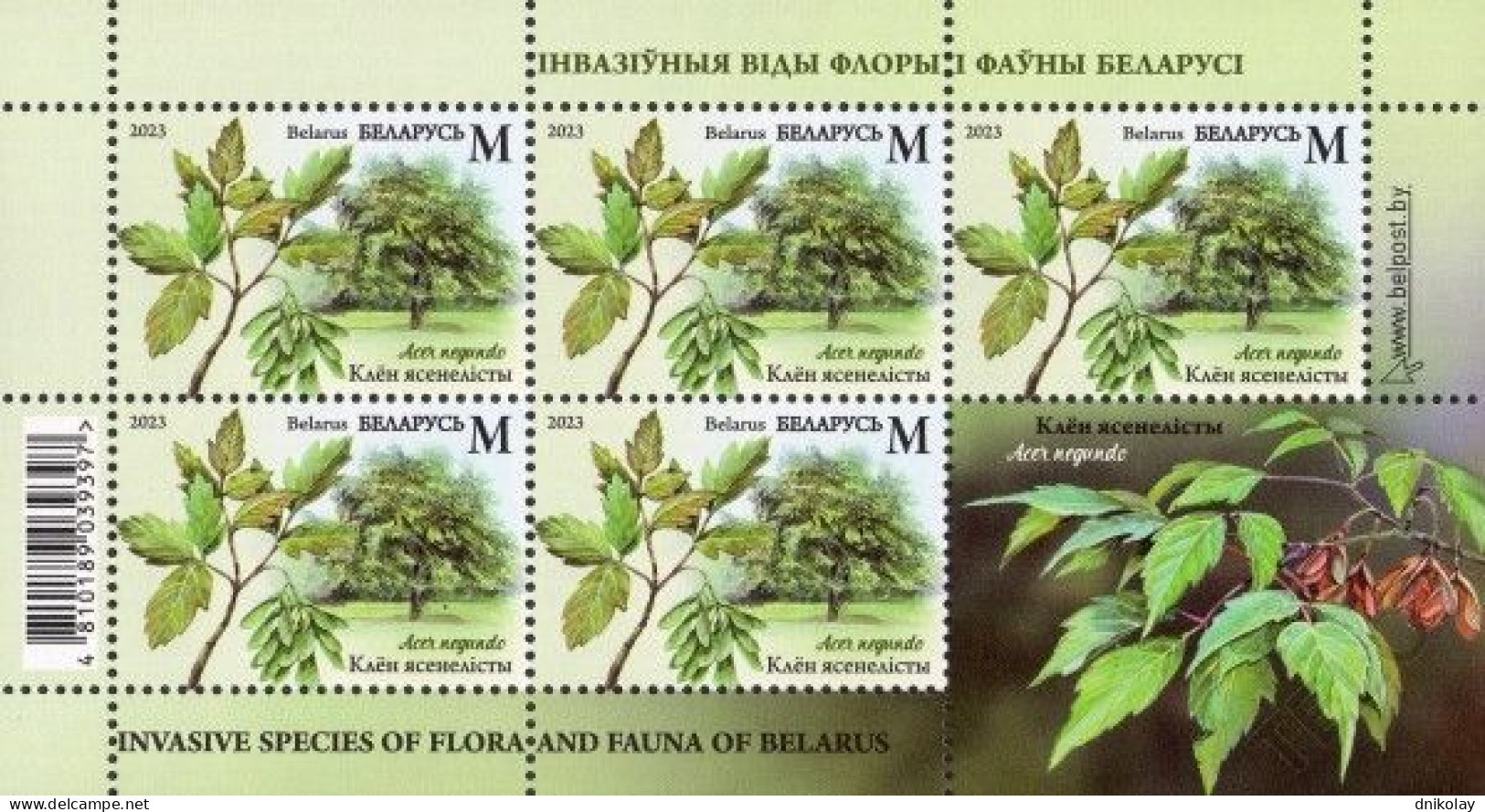 2023 1516 Belarus Invasive Species Of Flora And Fauna Of Belarus MNH - Belarus