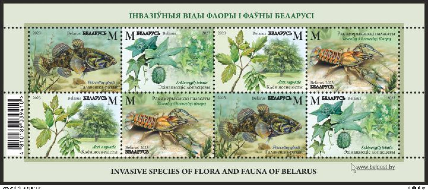 2023 1516 Belarus Invasive Species Of Flora And Fauna Of Belarus MNH - Belarus