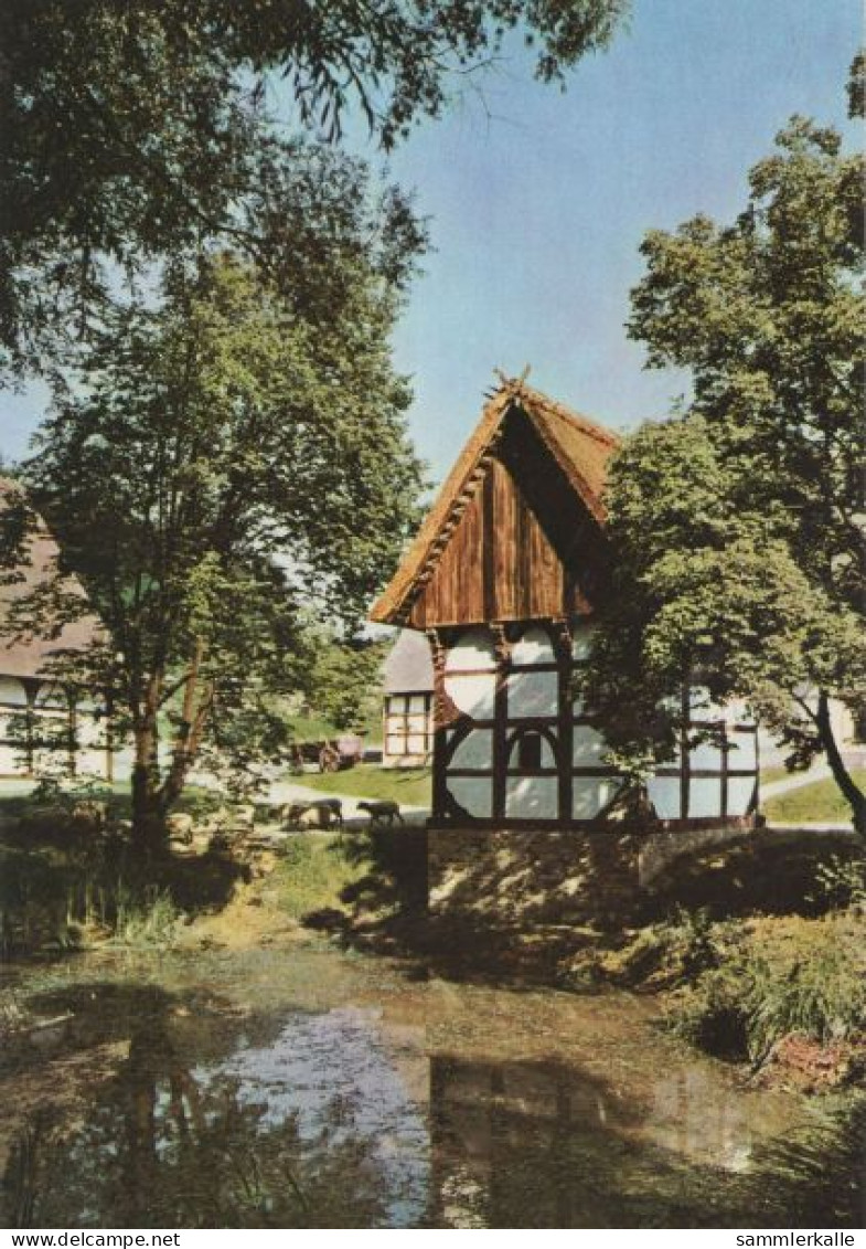 132881 - Detmold - Freilichtmuseum, Lippischer Meierhof - Detmold