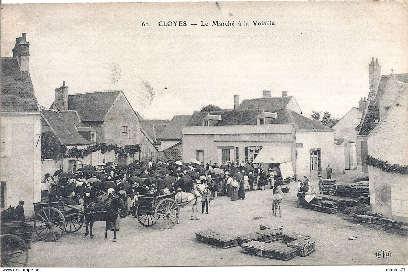 CPA 28 CLOYES Le Marchè A La Volaille - Cloyes-sur-le-Loir