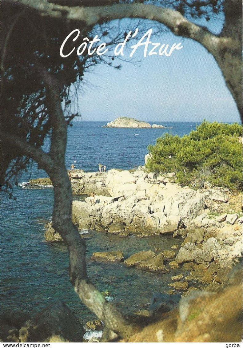 *CPM - FRANCE - PACA - Calanques En Méditerranée - Provence-Alpes-Côte D'Azur