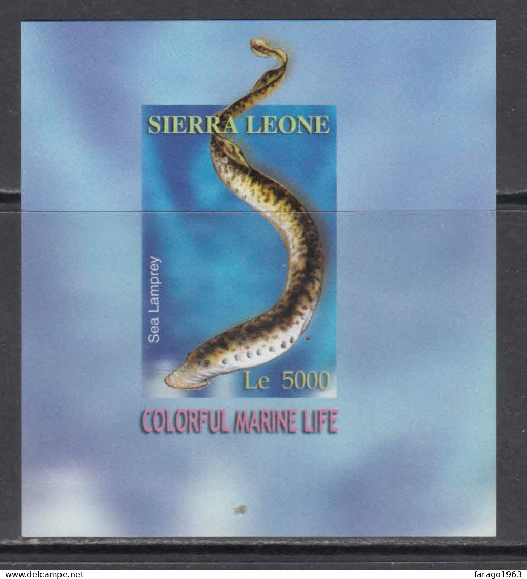 2004 Sierra Leone Marine Life IMPERF Sea Lamprey Fish Souvenir Sheet MNH - Sierra Leone (1961-...)