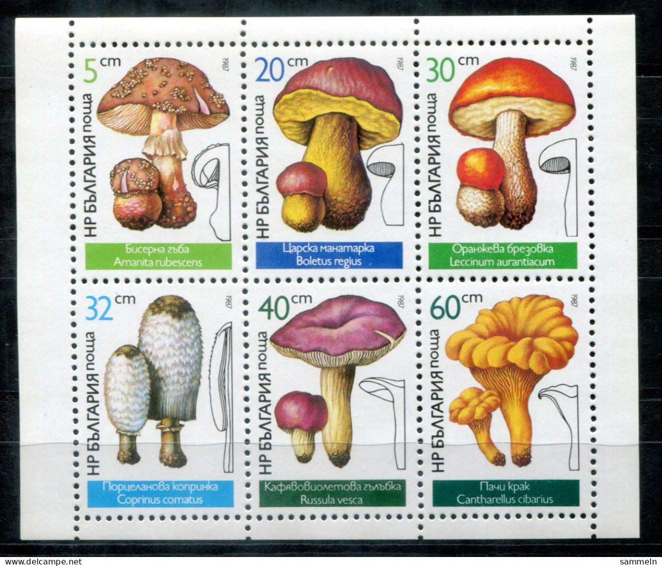 BULGARIEN 3546-3551 KB (1) Mnh - Pilze, Mushrooms, Champignons - BULGARIA / BULGARIE - Blocs-feuillets