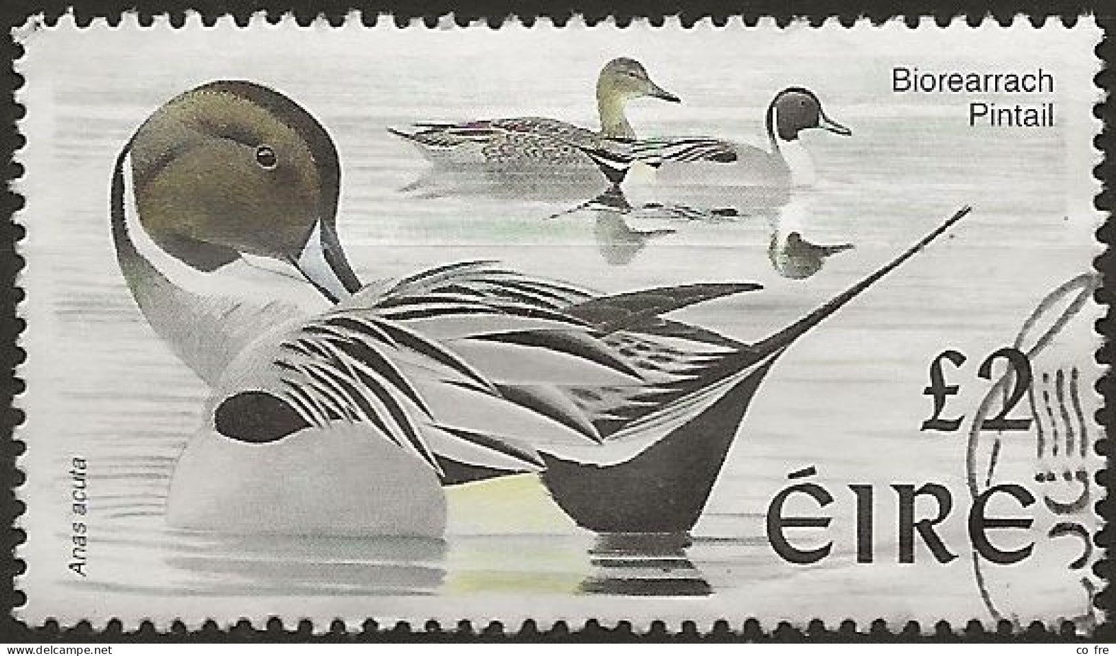 Irlande N°1063 (ref.2) - Used Stamps