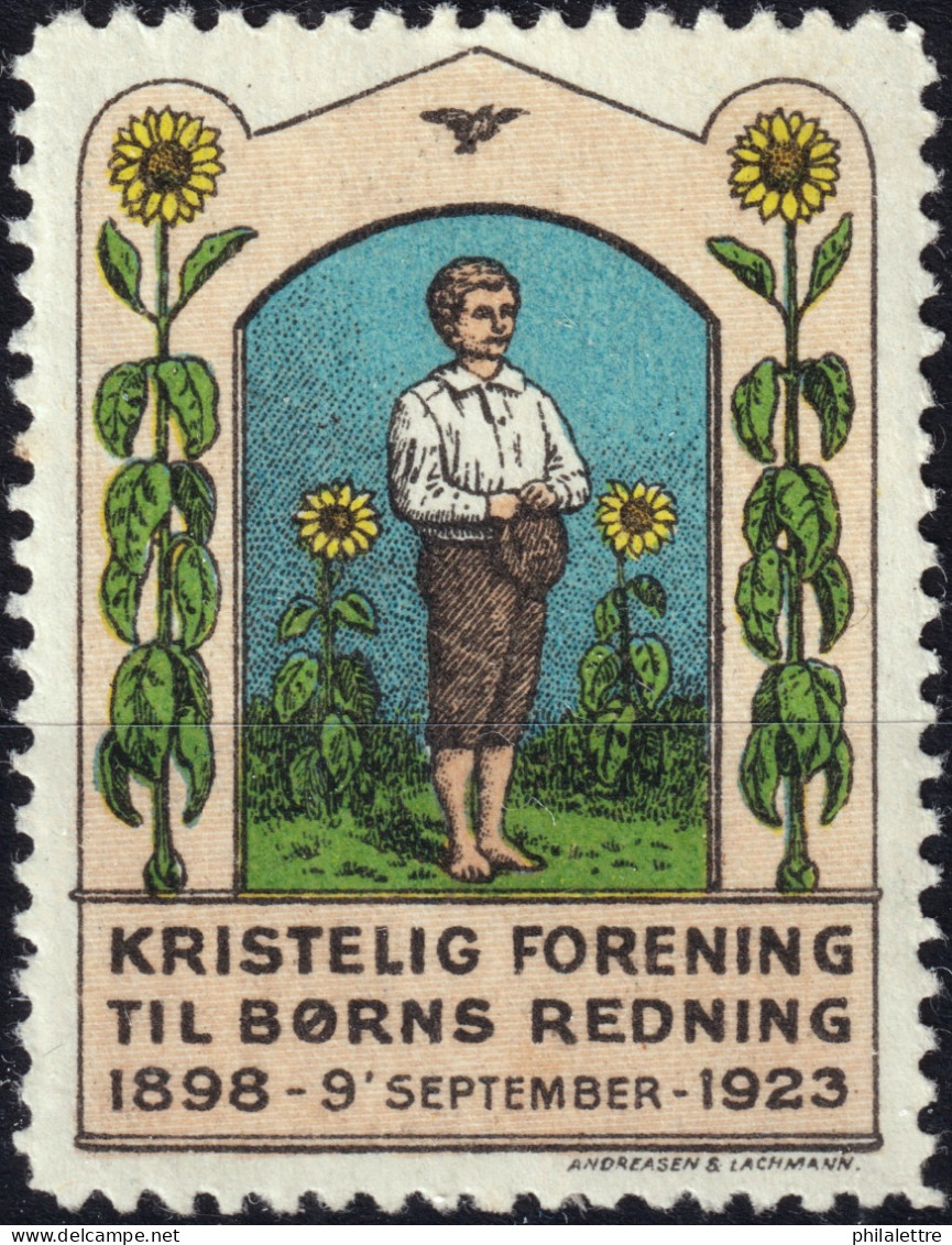 DANEMARK / DENMARK - 1923 Poster Stamp For The 25th Anniversary Of The Danish Christian Association For Children - Mint* - Christianity