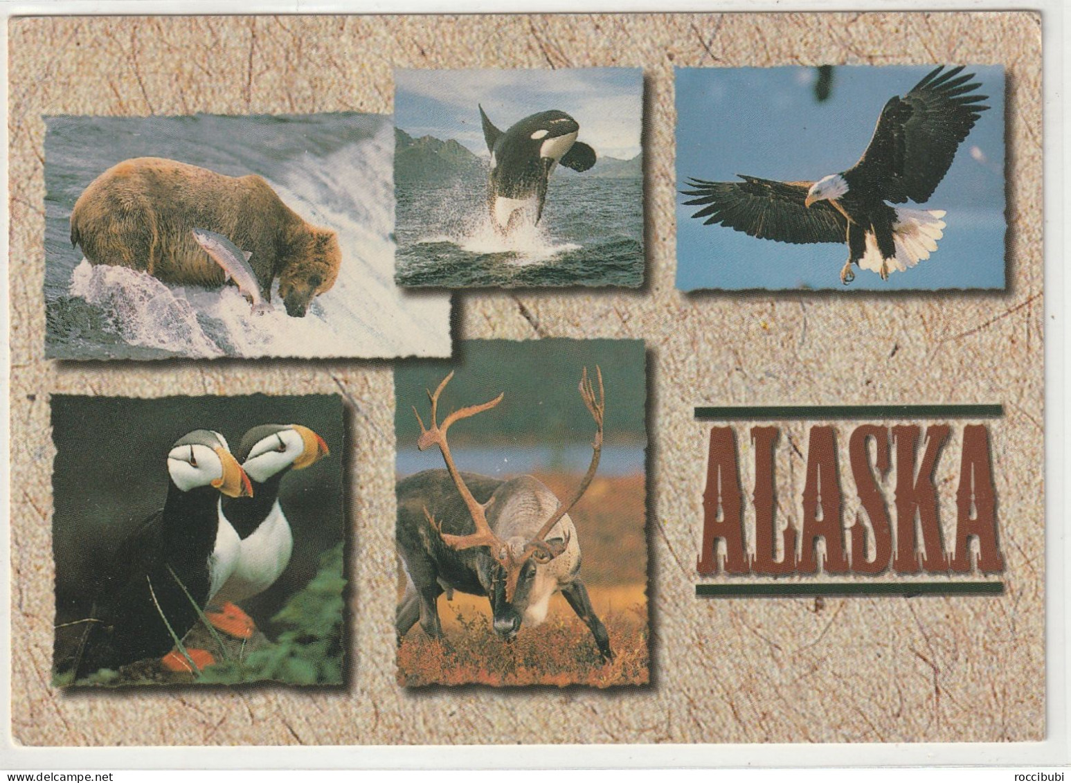 Alaska - Other & Unclassified