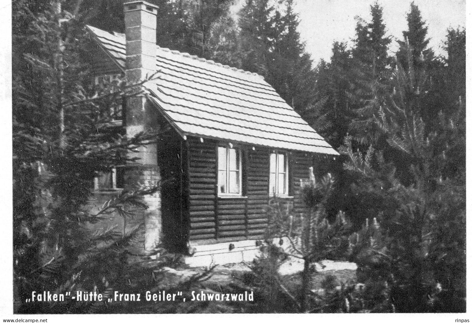 (Allemagne) SJD DIE FALKEN HUTTE Franz Geiler Schwarzwald Bezirkverdabd Bodnsee Villingen - Wasserburg A. Bodensee