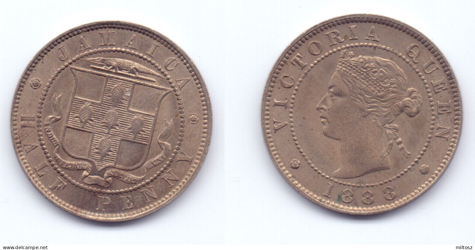 Jamaica 1/2 Penny 1888 - Jamaique