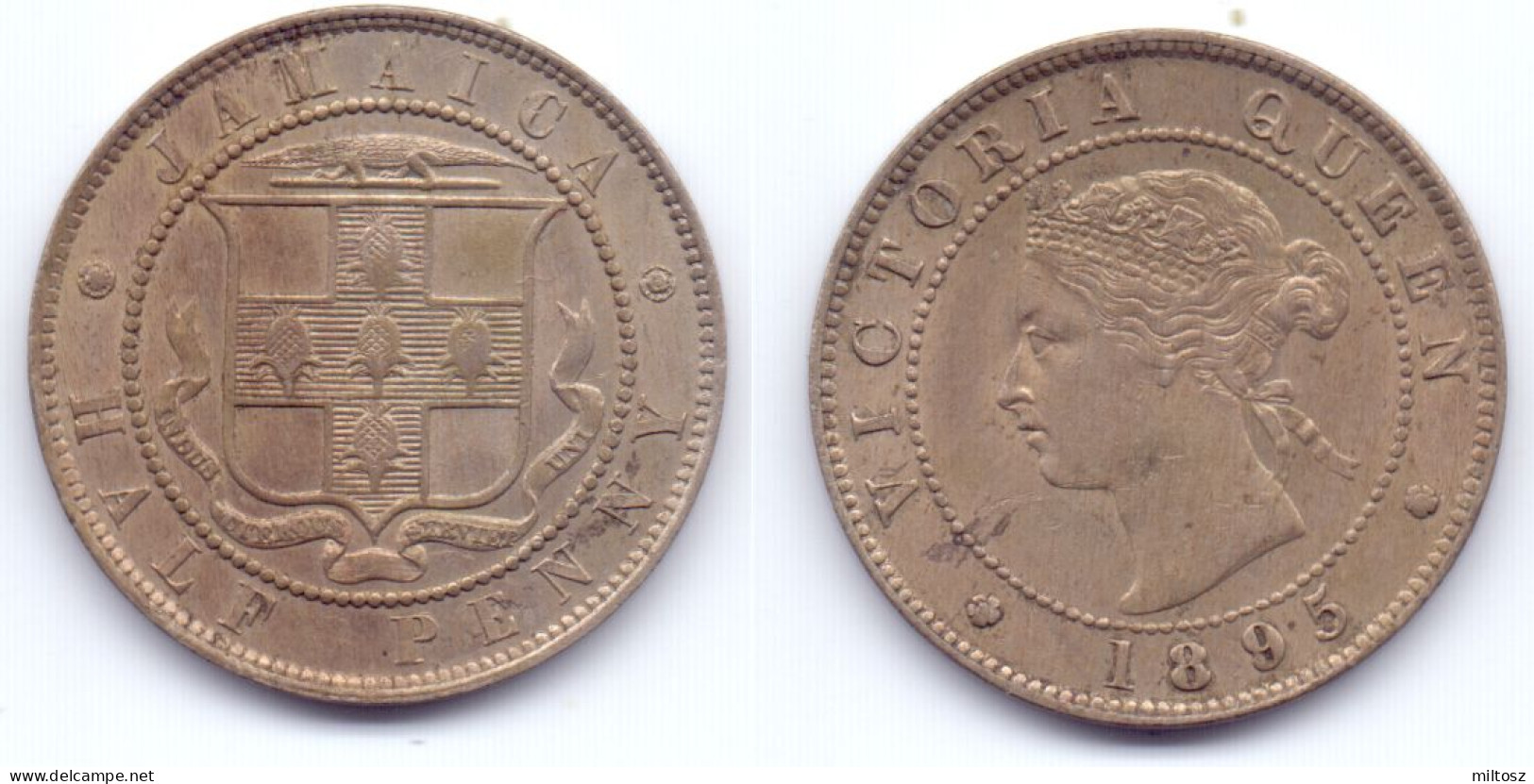 Jamaica 1/2 Penny 1895 - Jamaica