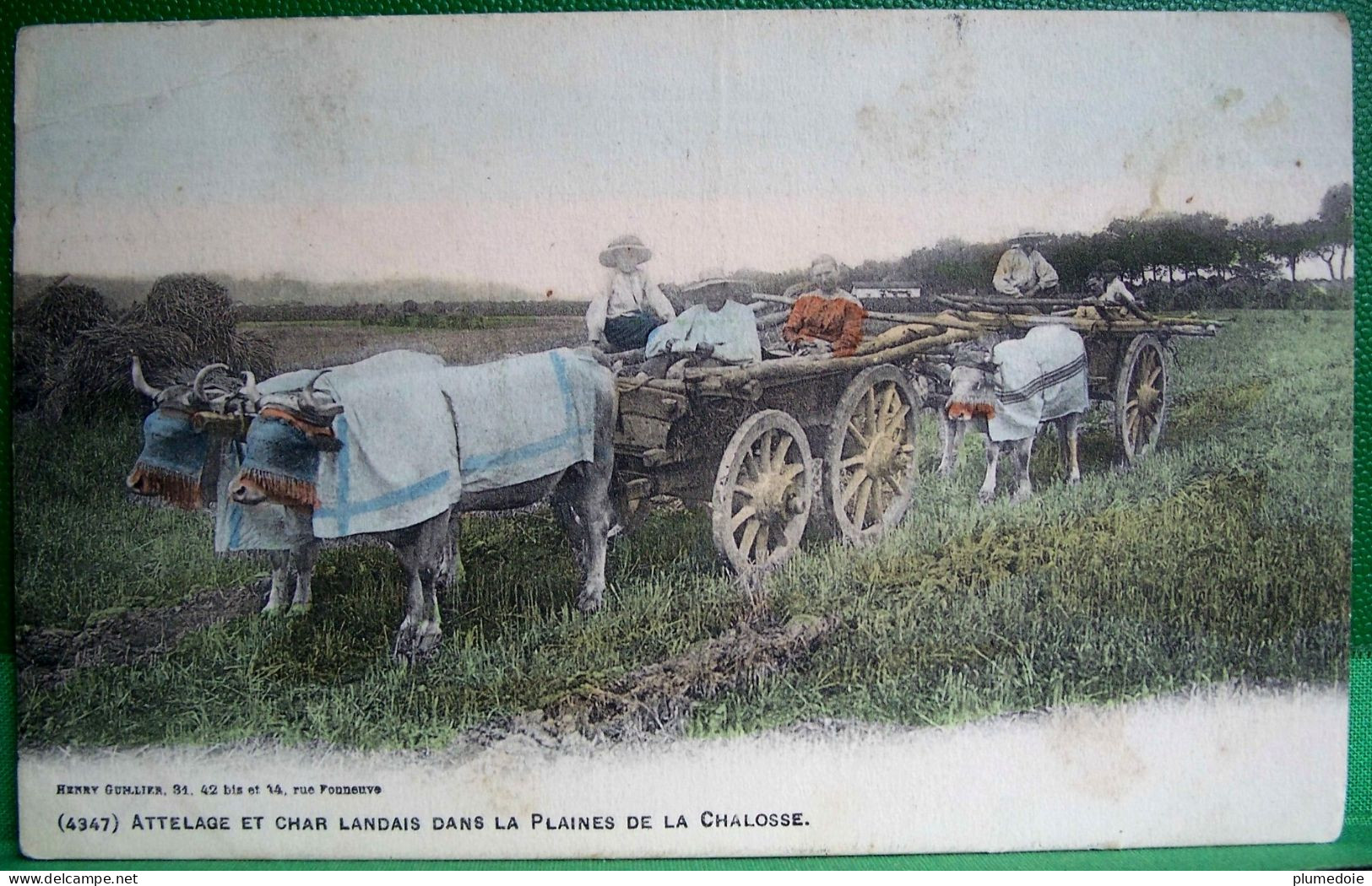 Cpa 40 , PLAINE De LA CHALOSSE , Animée , ATTELAGE De BOEUFS Et CHAR LANDAIS , 1906, Colorisée   LANDES EDITEUR GUILLIER - Montfort En Chalosse