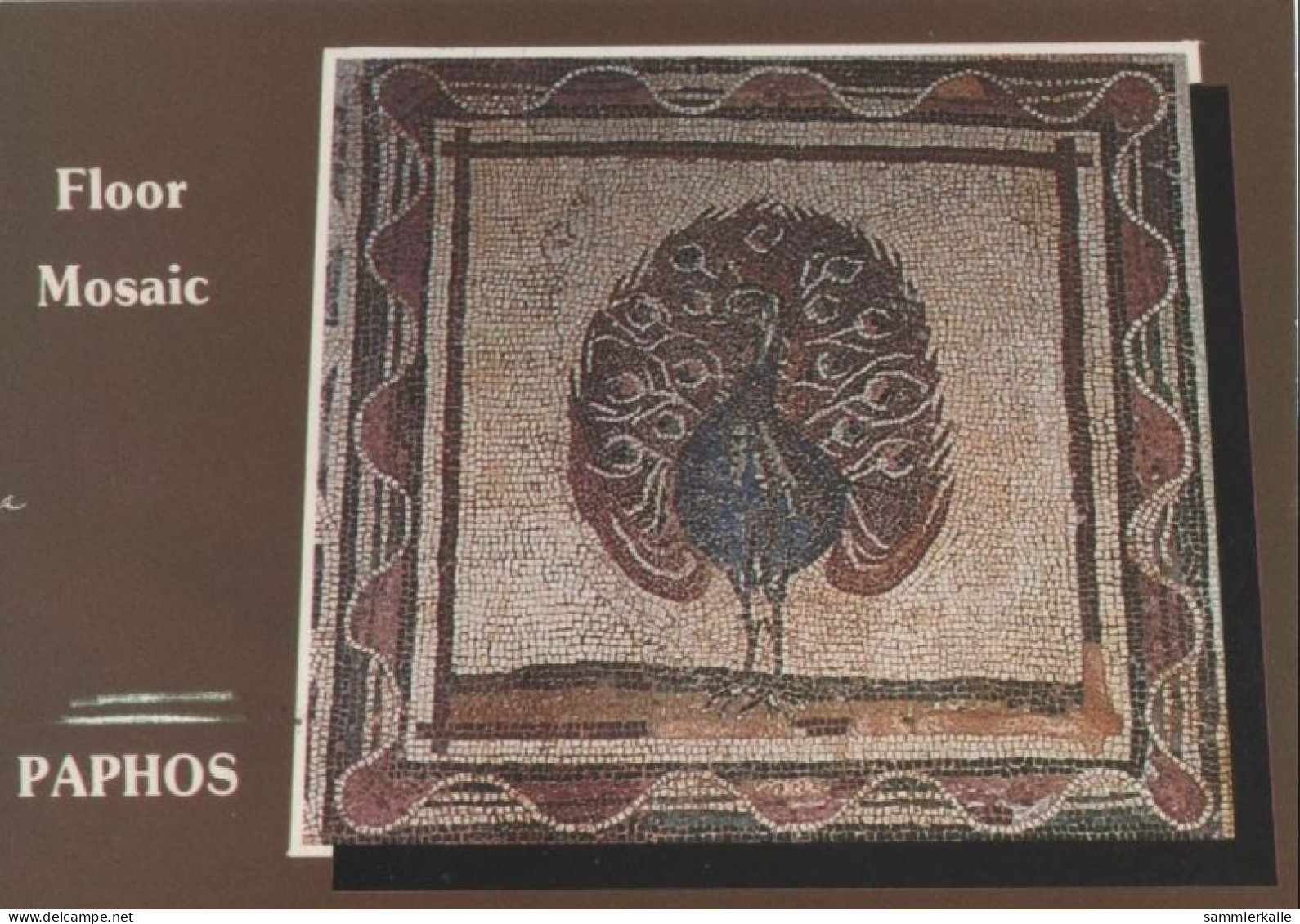 95040 - Paphos - Zypern - Floor Mosaic - Cyprus
