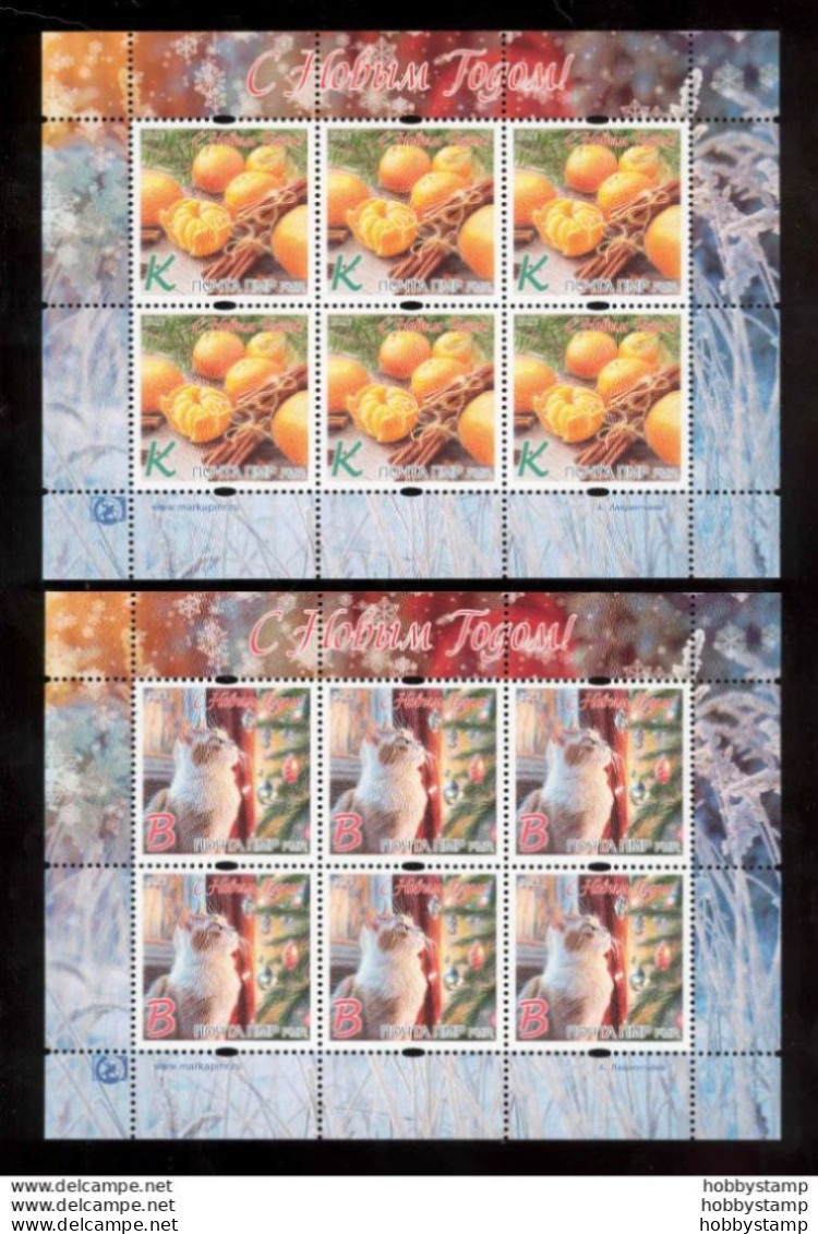 Label Transnistria 2023 Happy New Year! 2Sheets**MNH - Fantasy Labels