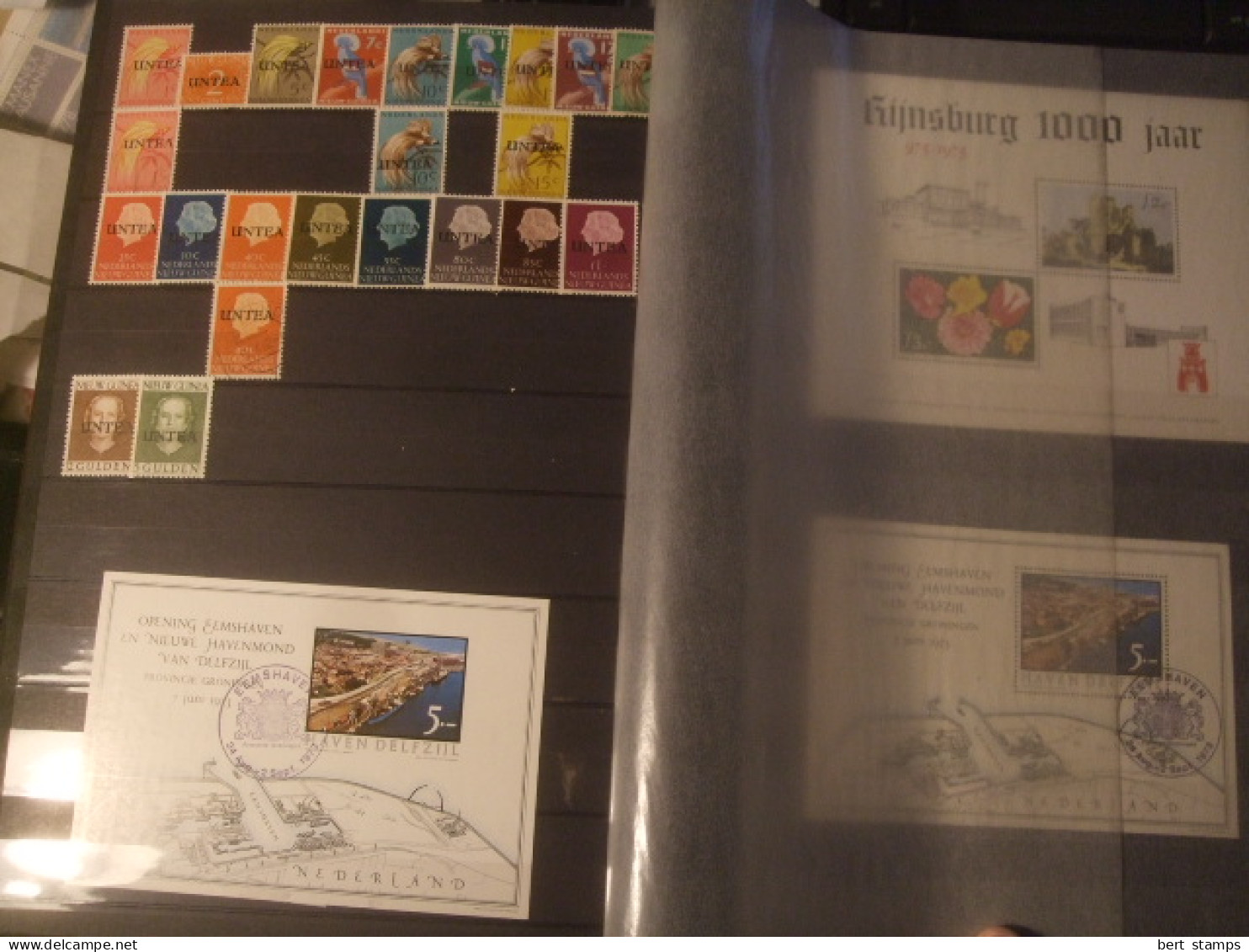 Nice Binder With Ned. Indies, Curacao, Antillen, New Guinea Catw. € 1540,00  Used, MH , MNH - Niederländisch-Indien