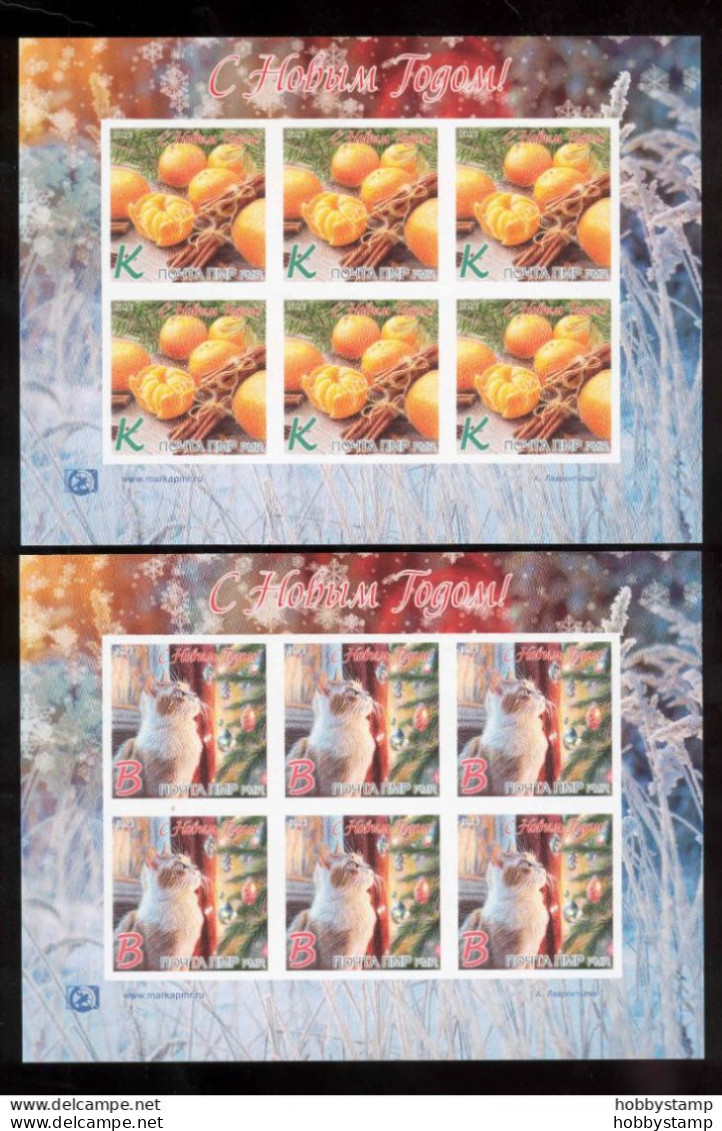 Label Transnistria 2023 Happy New Year!  2Sheets**MNH Imperforated - Fantasy Labels