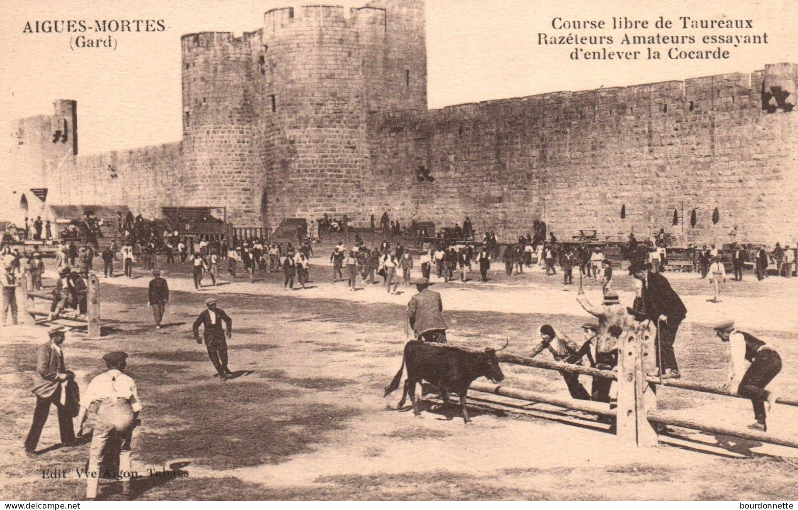 CPA - Aigues-Mortes - Course Libre De Taureaux - Razéteurs Amateurs Essayant D'enlever La Cocarde - Aigues-Mortes