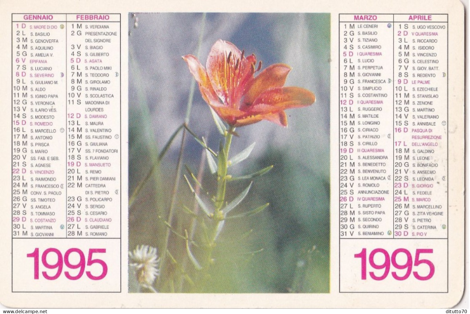 Calendarietto - Anno 1995 - Petit Format : 1991-00