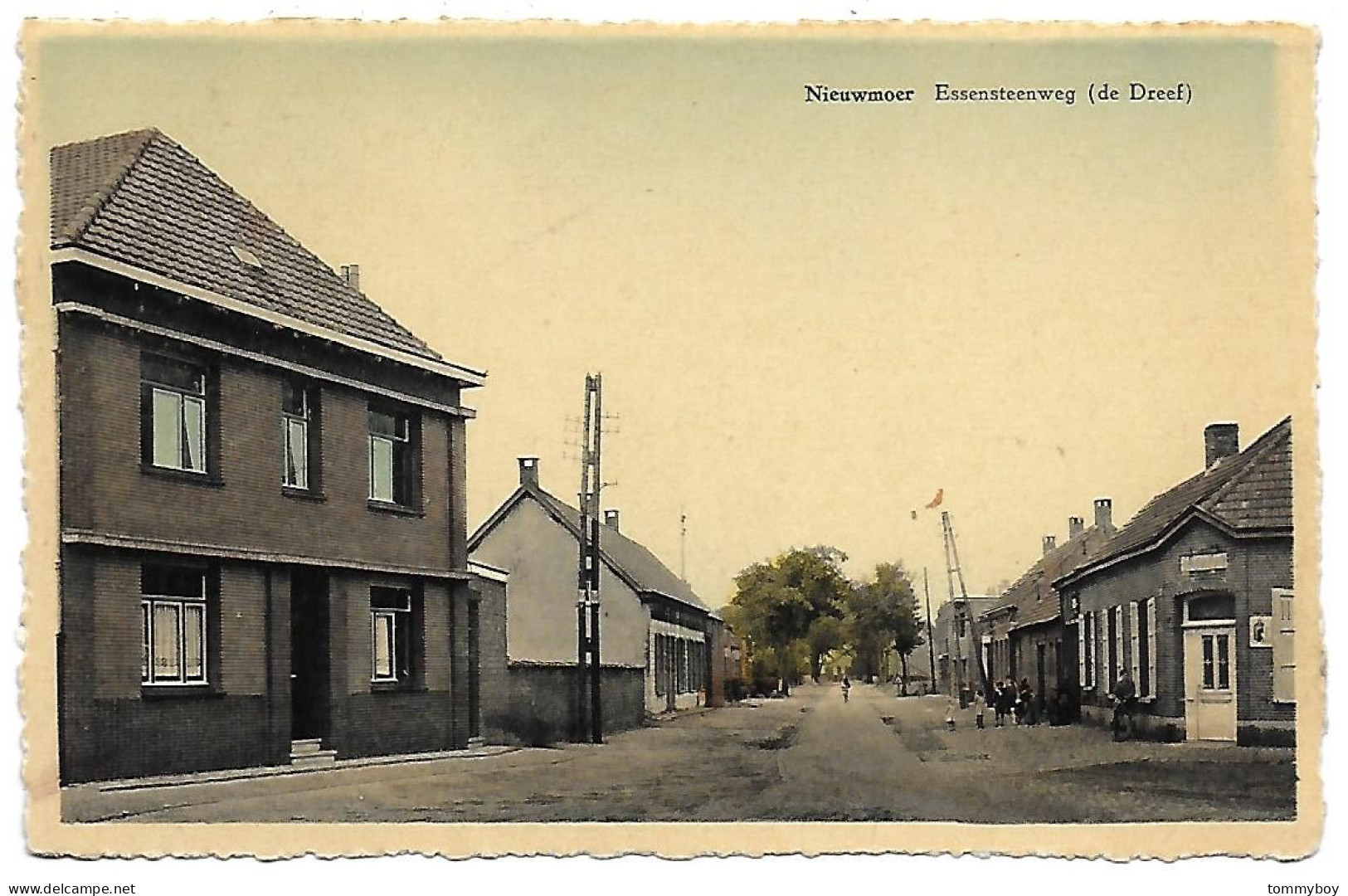 CPA Nieuwmoer, Essensteenweg (de Dreef) - Kalmthout