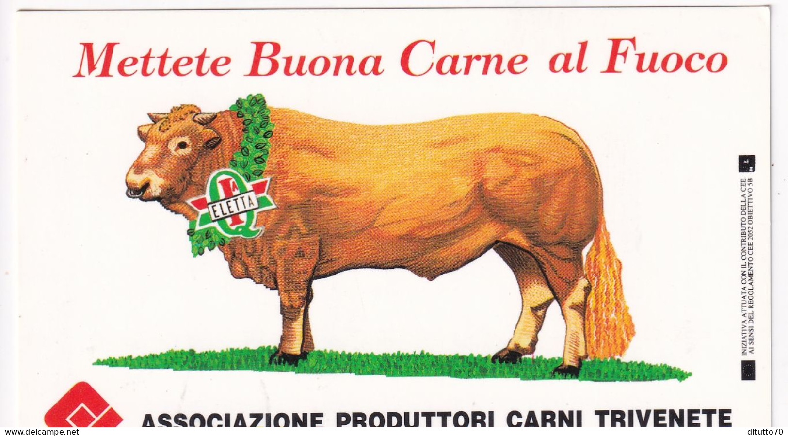 Calendarietto - Associazione Produttori Carni Trivenete - Anno 1995 - Petit Format : 1991-00