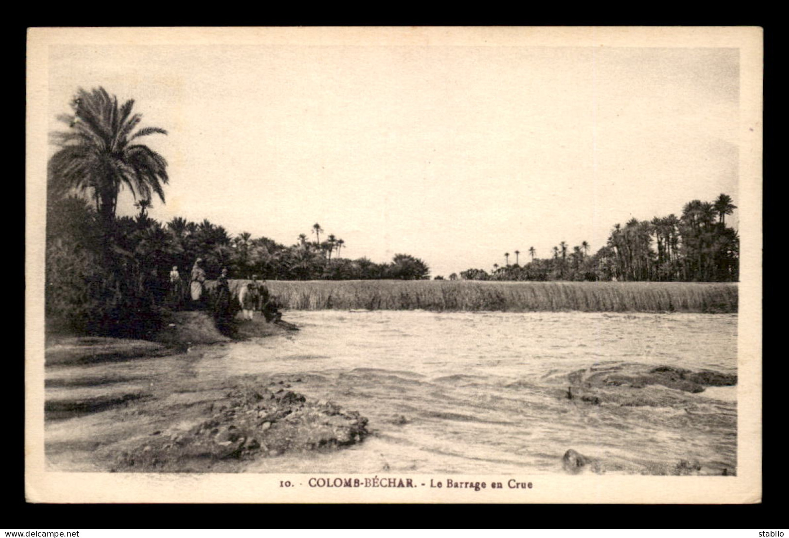 ALGERIE - SAHARA - COLOMB-BECHAR - LE BARRAGE EN CRUE - Bechar (Colomb Béchar)