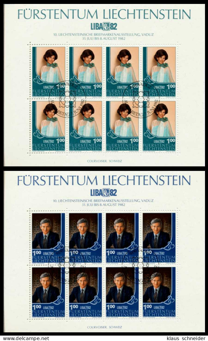 LIECHTENSTEIN Nr 797KB-798KB ESST Zentrisch Gestempelt S53CC1A - Blocs & Feuillets