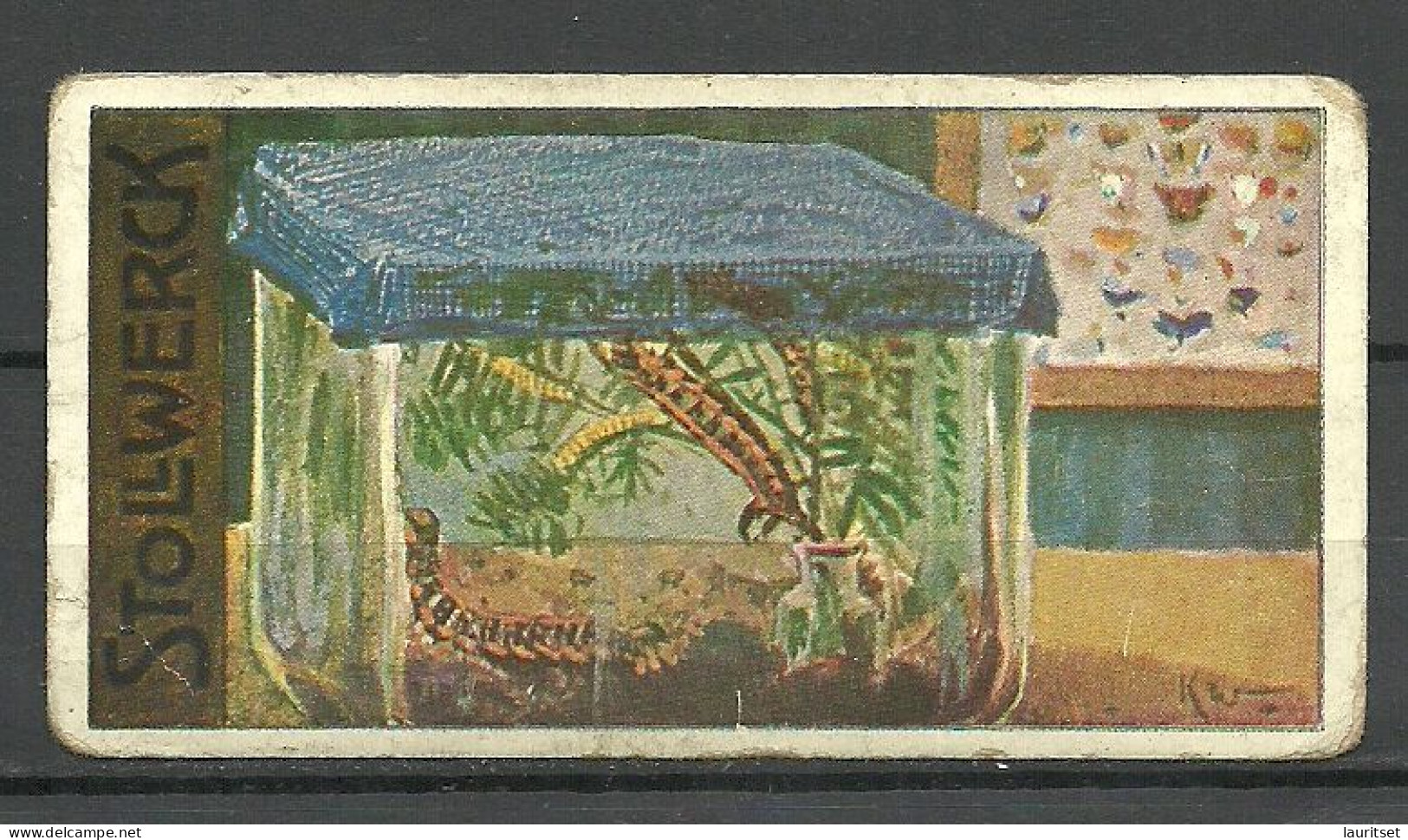 1910 Stollwerck Tierreich-Sammel-Album No11 Gruppe 474 Aquarien Und Terrarien No. 6 Insektarium - Stollwerck