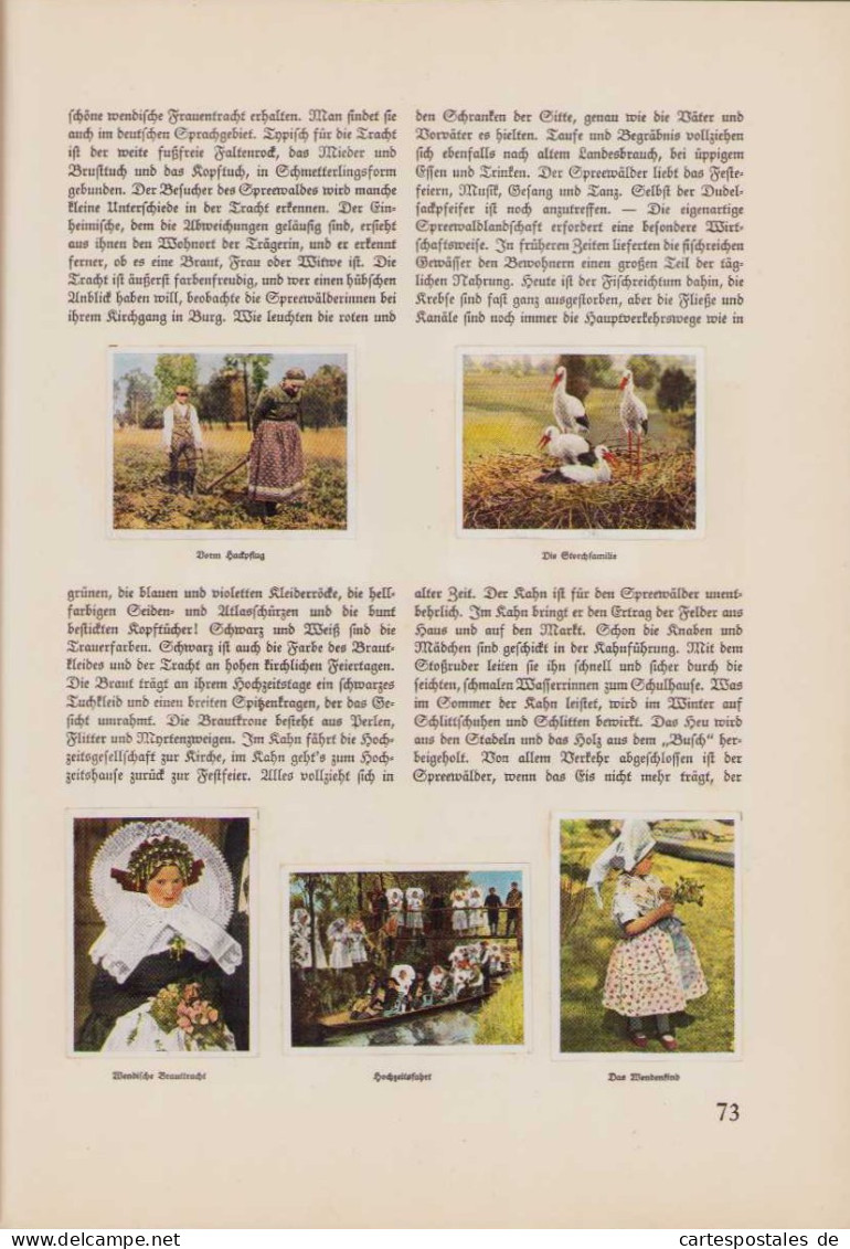 Sammelalbum 270 Bilder, Auf Deutscher Scholle, Hans Von Der Nordmark, Bauern, Feldarbeit, Flachs, Spreewald  - Sammelbilderalben & Katalogue