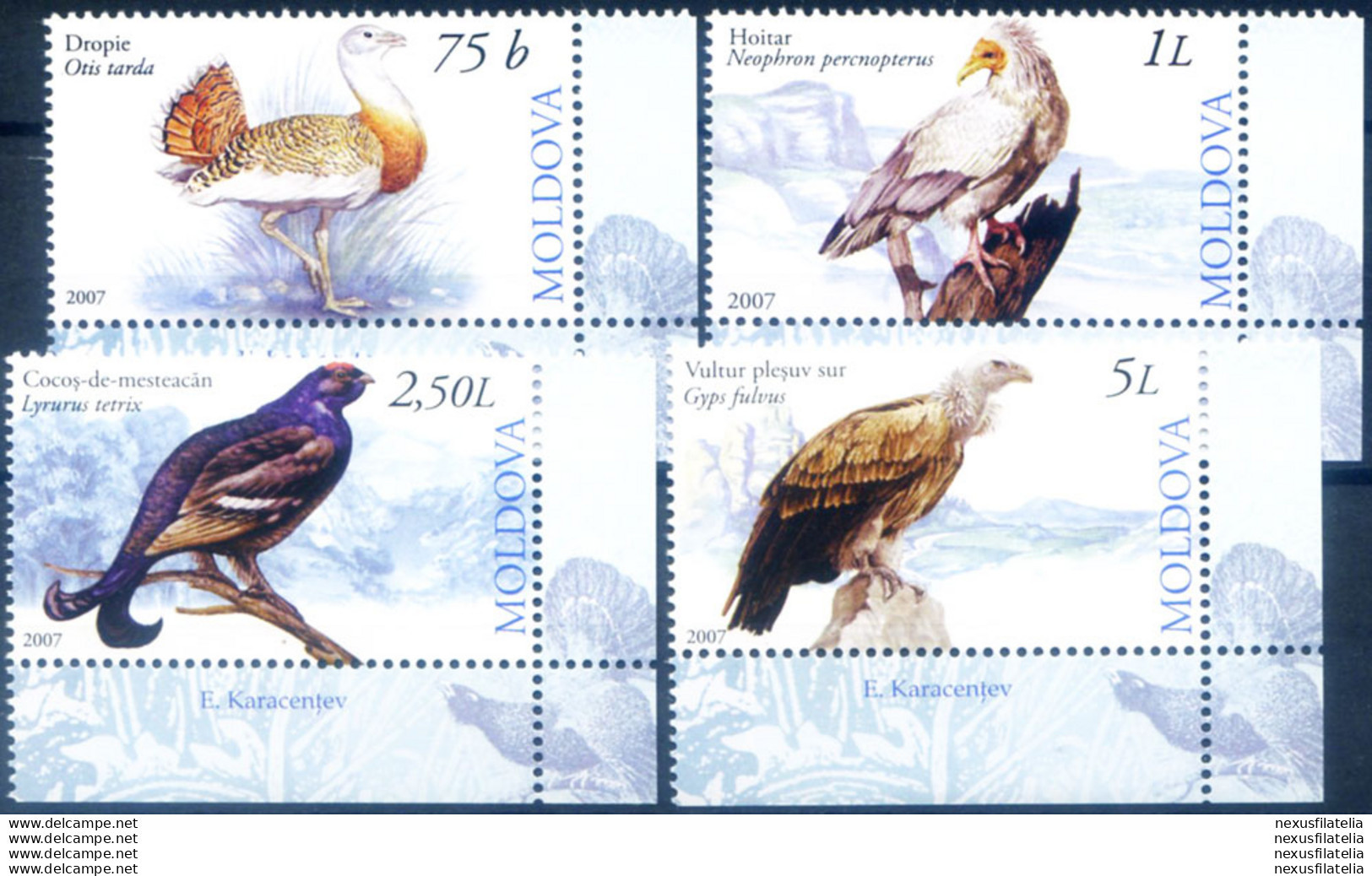 Fauna. Uccelli 2007. - Moldavie