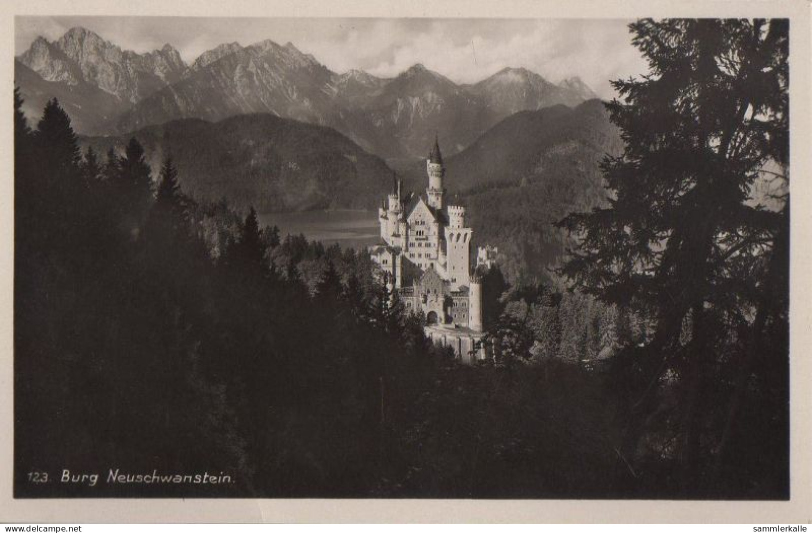 31229 - Schwangau Neuschwanstein - Ca. 1950 - Fuessen