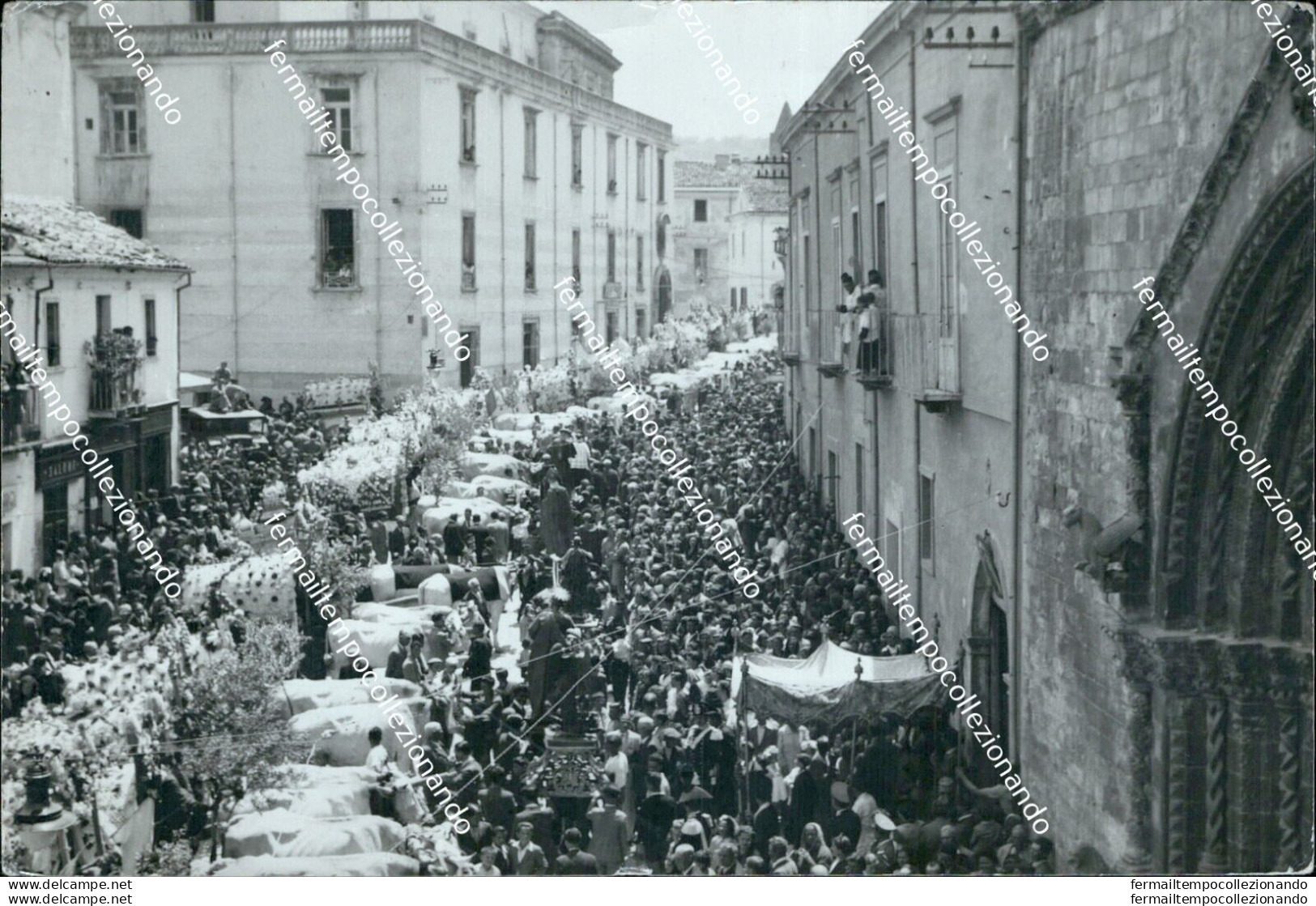 Cl536 Cartolina Larino Sagra Di S.pardo Benedizione Carri Provinciadi Campobasso - Campobasso