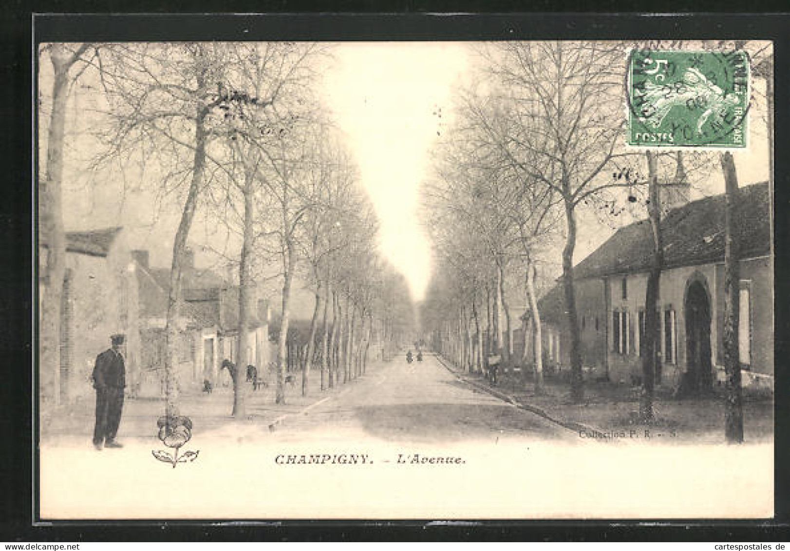 CPA Champigny-sur-Yonne, L`Avenue  - Champigny