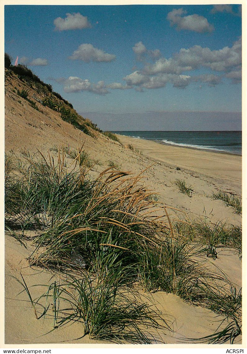 GCAPE COD NATIONAL SEASHORE    (scan Recto-verso) KEVREN00309 - Cape Cod