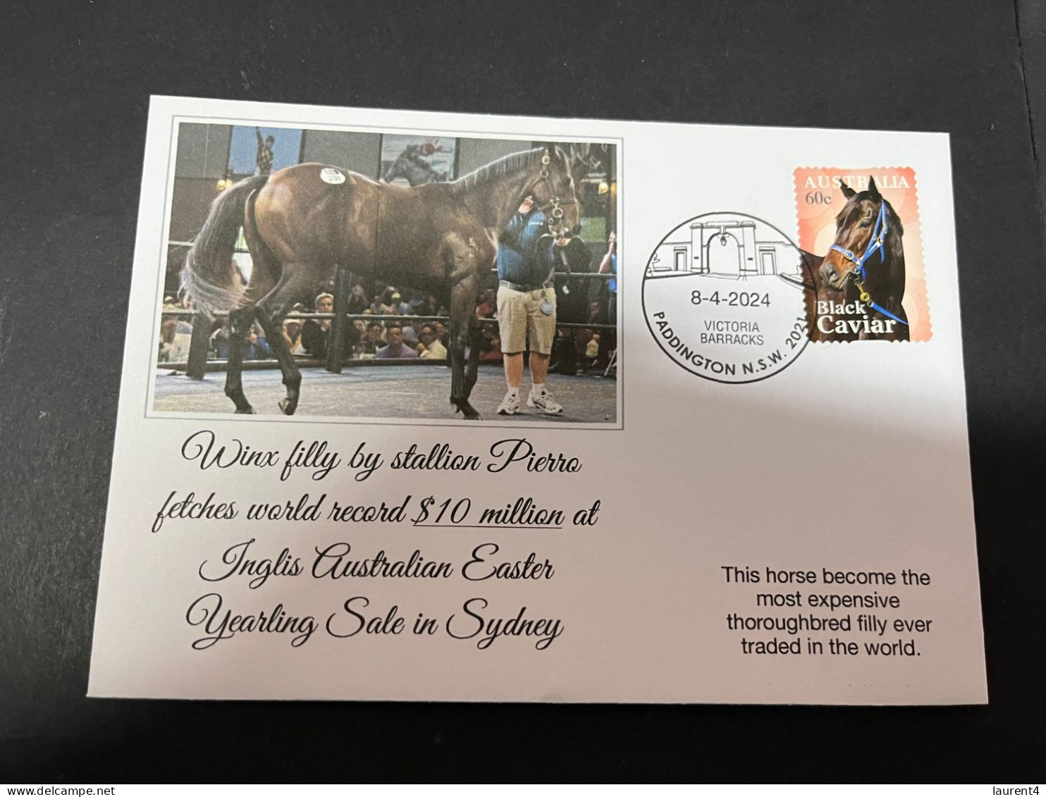 6-4-2024 (1 Z 13) WINX (race Horse) Filly Fetches World Record $ 10 Million Yearling Sale In Sydney (Australia) - Hípica