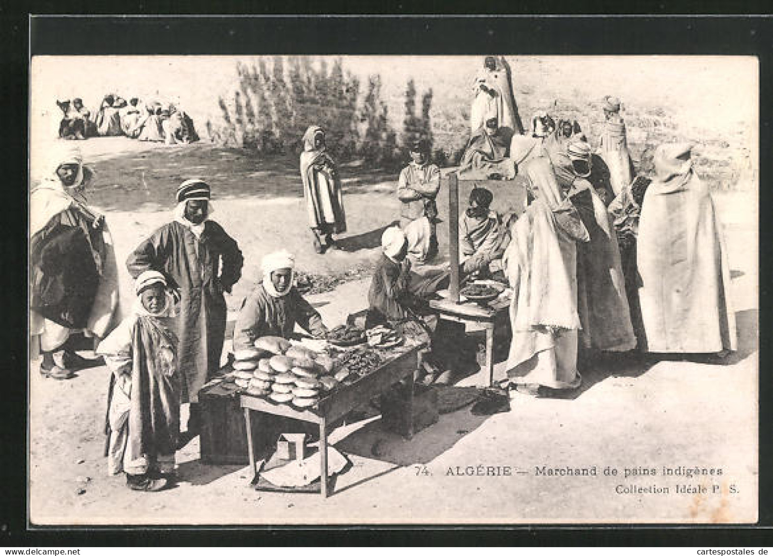 AK Algérie, Marchand De Pains Indigénes  - Non Classés