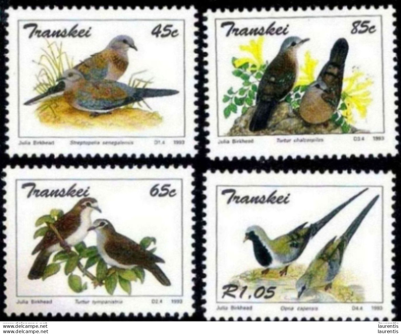 14662  Pigeons - Birds - Transkei Yv 311-14 - MNH -  2,25 - Duiven En Duifachtigen