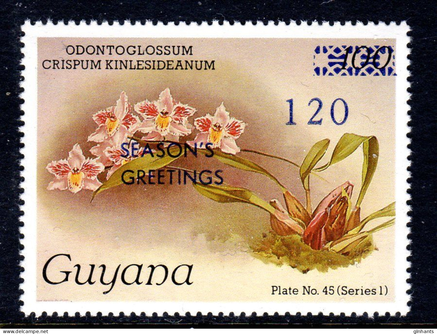 GUYANA - 1988 REICHENBACHIA ORCHIDS OVERPRINTED SEASONS GREETINGS PLATE 45 SERIES 1 FINE MNH ** SG 2526 - Guyana (1966-...)