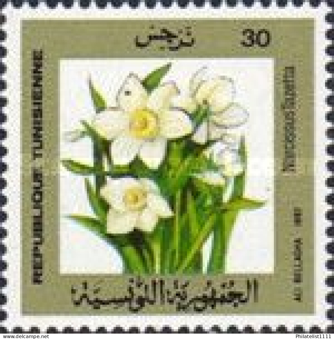 Flowers - Tunisia (1956-...)