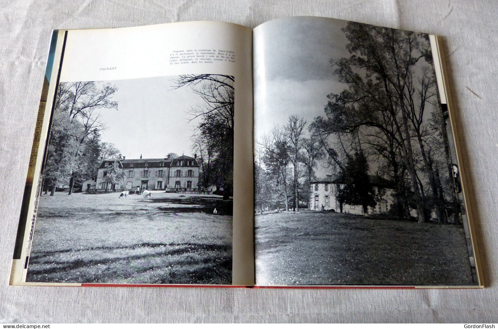 Livre : Chateaux En Auvergne - Auvergne