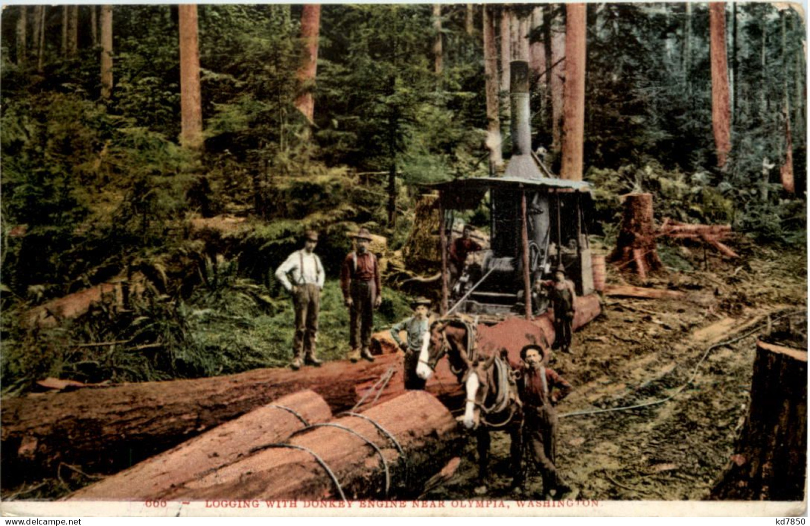 Logging With Donkey Engine Near Olympia Washington - Sonstige & Ohne Zuordnung