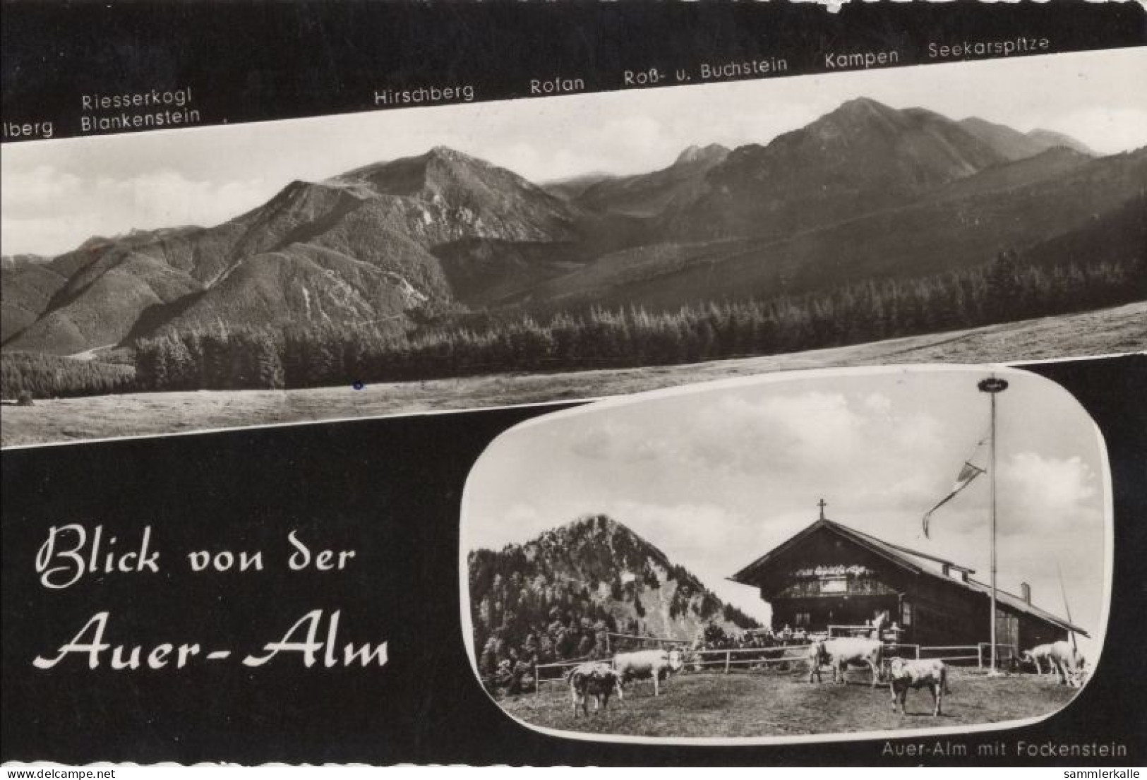 123968 - Bad Wiessee - Auer-Alm - Bad Wiessee