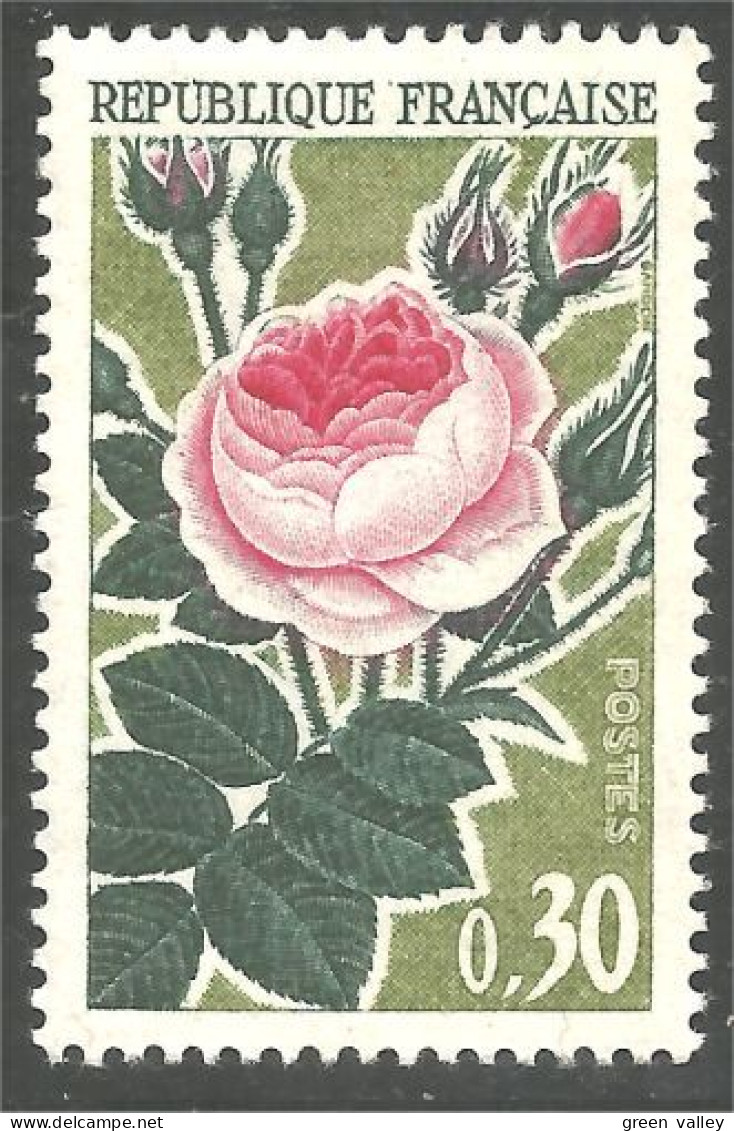 343 France Yv 1357 Rose Fleur Flower Blume MNH ** Neuf SC (1357-1b) - Rosen