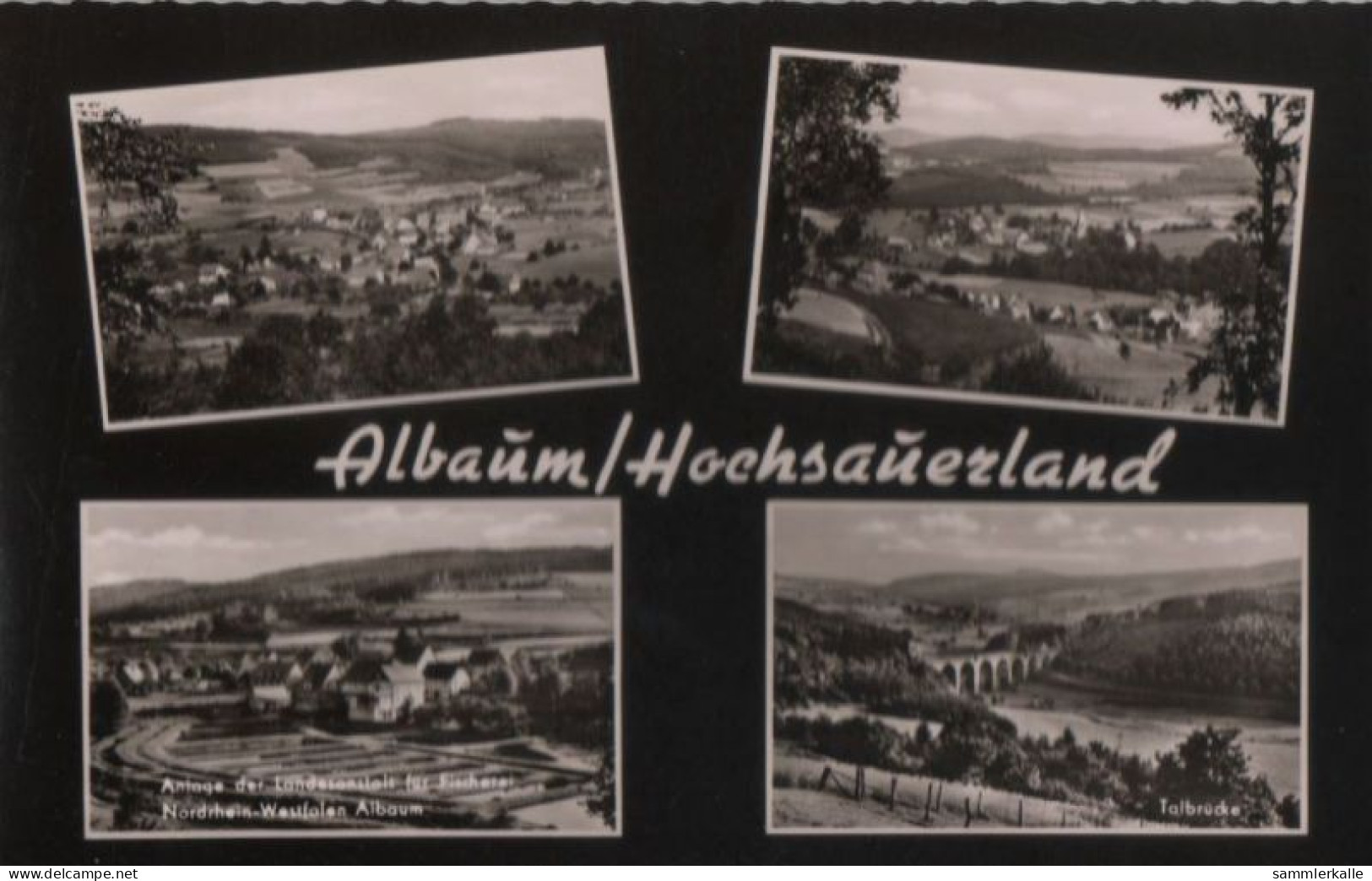 58574 - Kirchhundem-Albaum - 4 Teilbilder - Ca. 1960 - Olpe