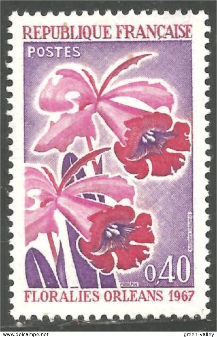 345 France Yv 1528 Floralies Orléans Fleurs Flower Blume MNH ** Neuf SC (1528-1c) - Other & Unclassified