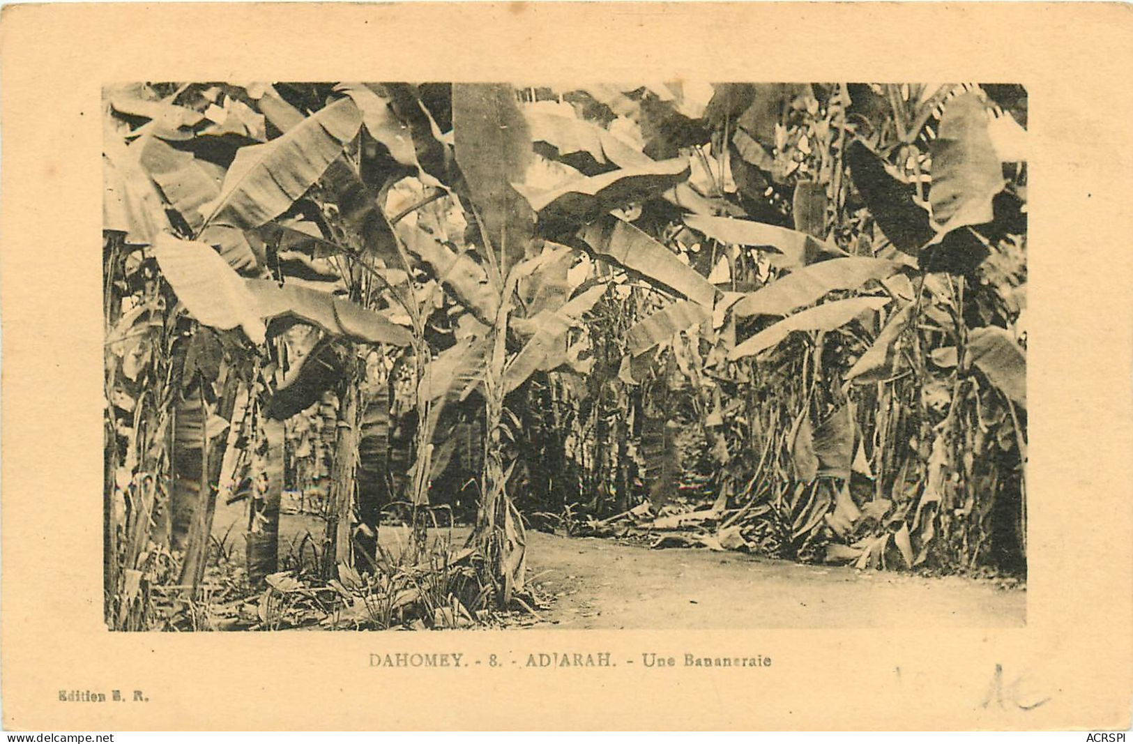 Bénin Ex  Dahomey   Adjarah Une Bananerais  9 (scan Recto-verso) KEVREN0617 - Benin