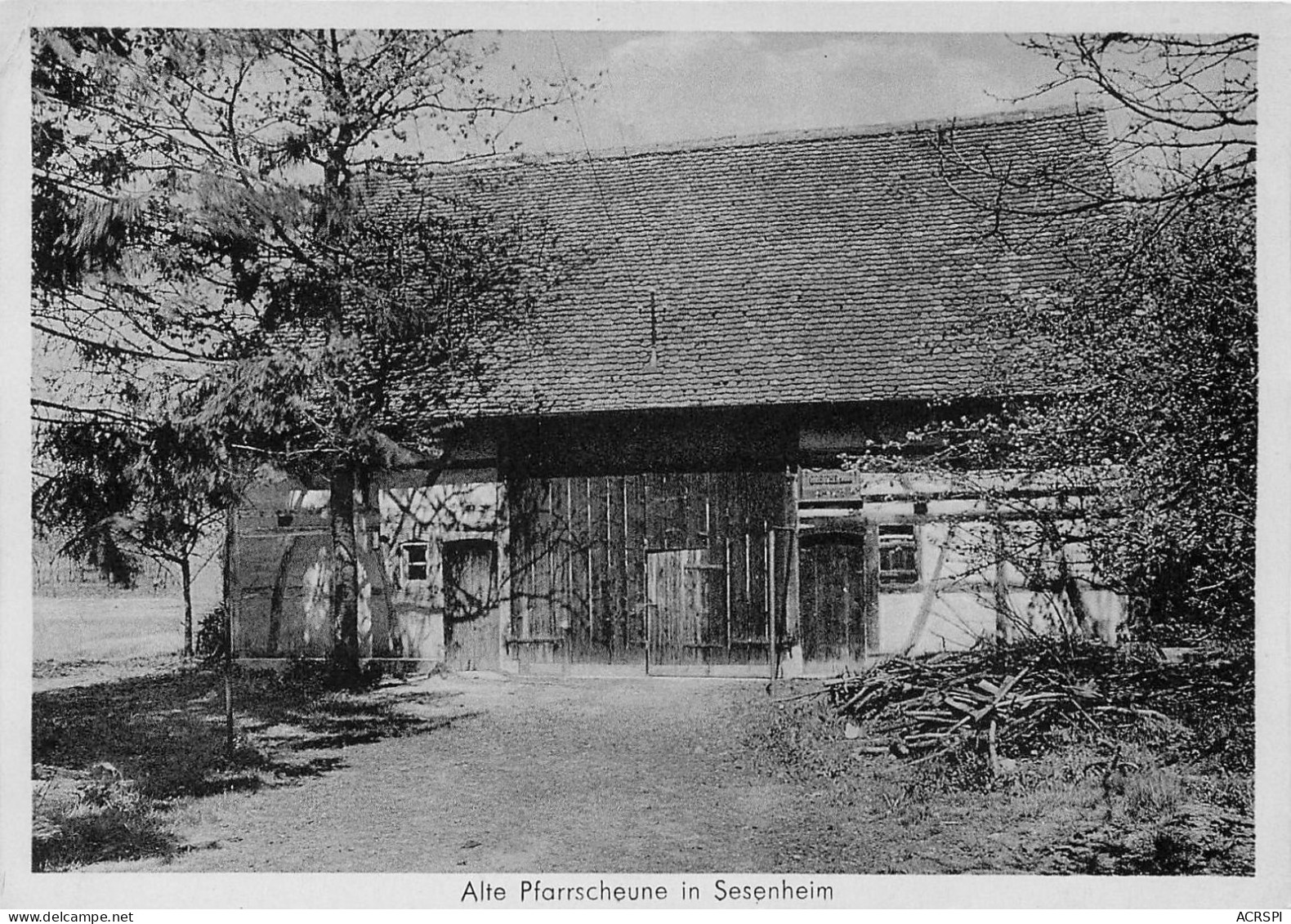 SESENHEIM ALTE  PFARRSCHEUNE Pres De Haguenau  31 (scan Recto-verso)KEVREN0632 - Haguenau