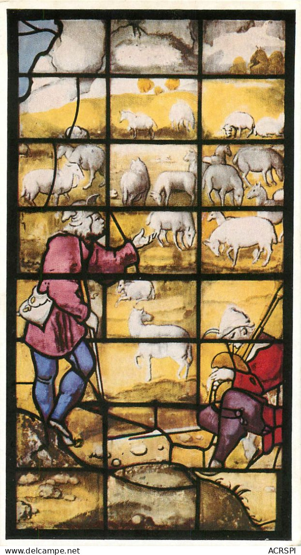 CAMBRIDGE   Shepherds With Their Sheep  42   (scan Recto-verso)KEVREN0630 - Cambridge