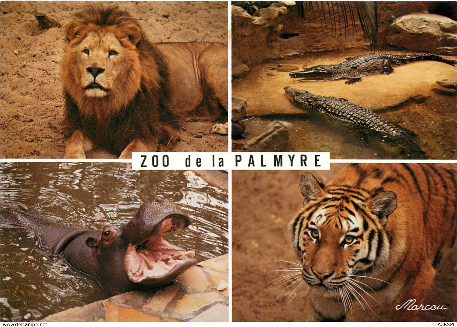 ROYAN La Temblade ZOO De LA PALMYRE  26   (scan Recto-verso) KEVREN0647 - La Tremblade