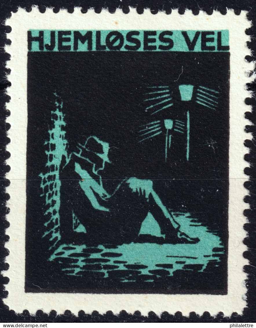 DANEMARK / DENMARK - 1938 "HJEMLØSES VEL" Homeless Charity Poster Stamp - Mint Hinged* - Autres & Non Classés